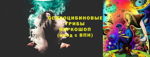соль ск Алексин