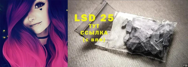 PSILOCYBIN Абдулино