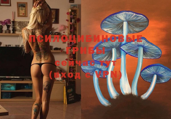 PSILOCYBIN Абдулино