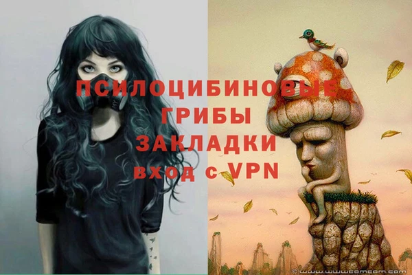 кристаллы Алзамай