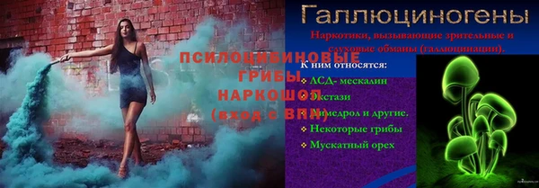 PSILOCYBIN Абдулино